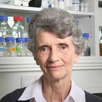 Prof Angela Vincent